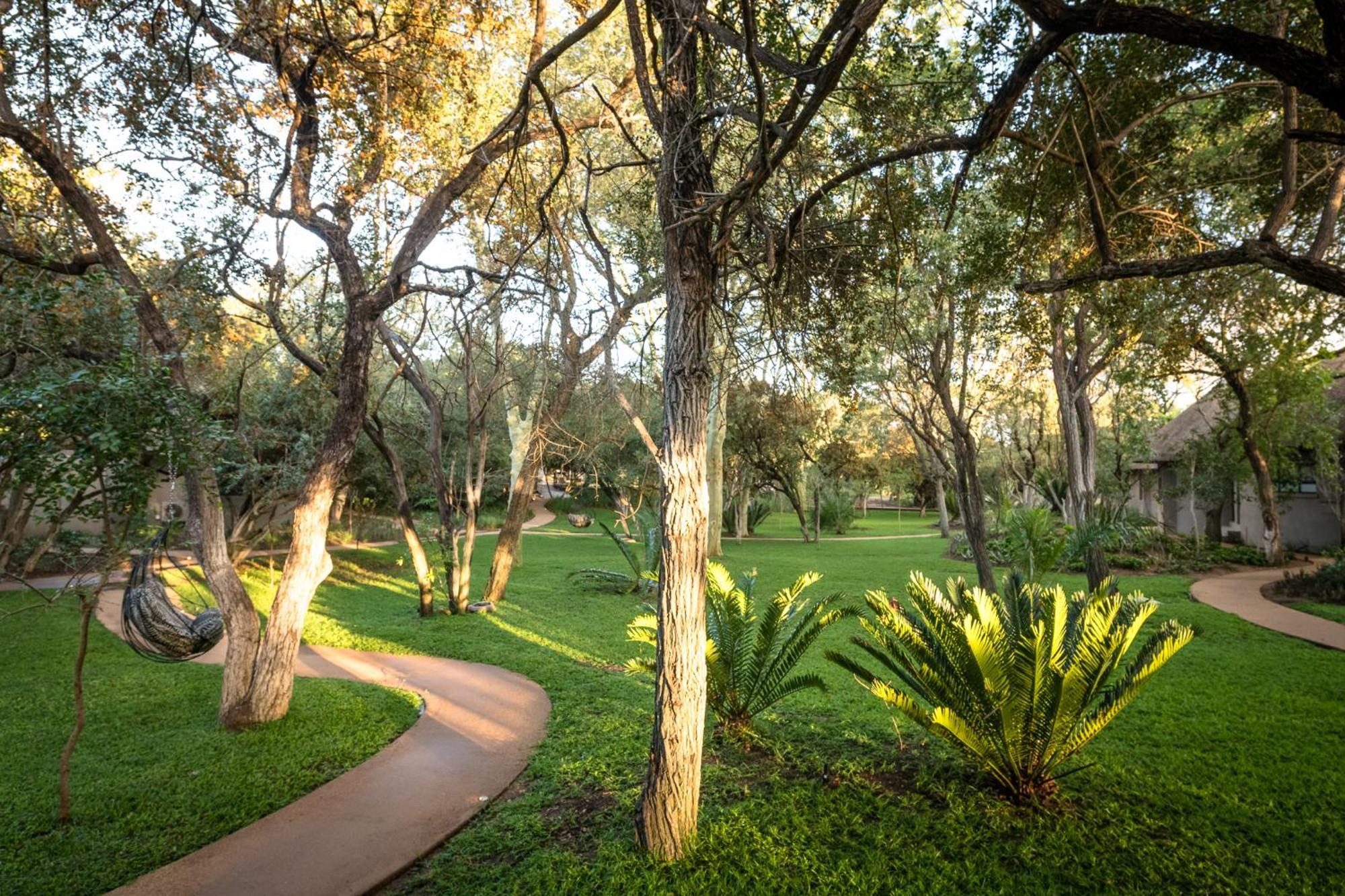 Serondella Safari Lodge Thornybush Game Reserve Luaran gambar