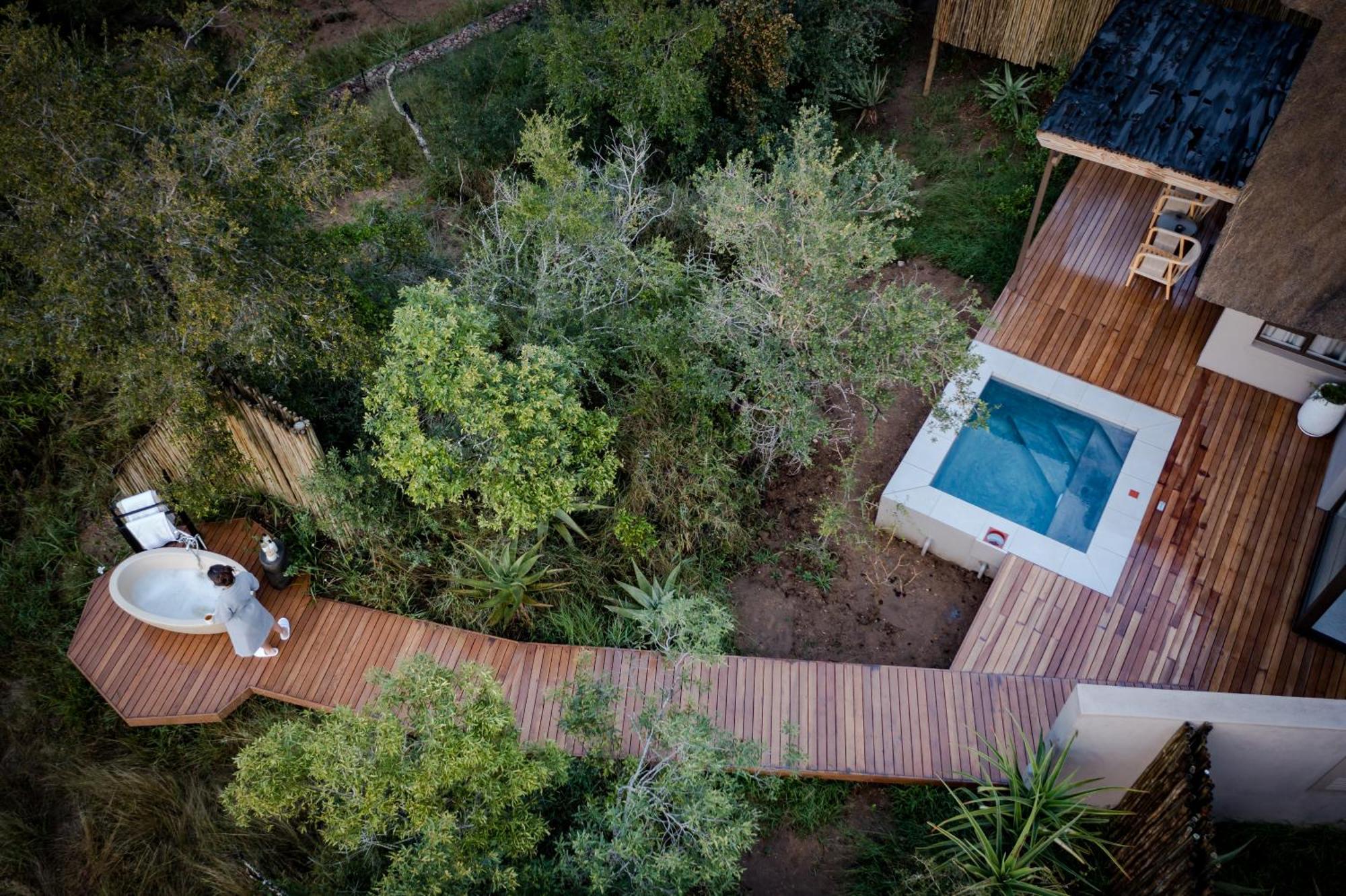 Serondella Safari Lodge Thornybush Game Reserve Bilik gambar