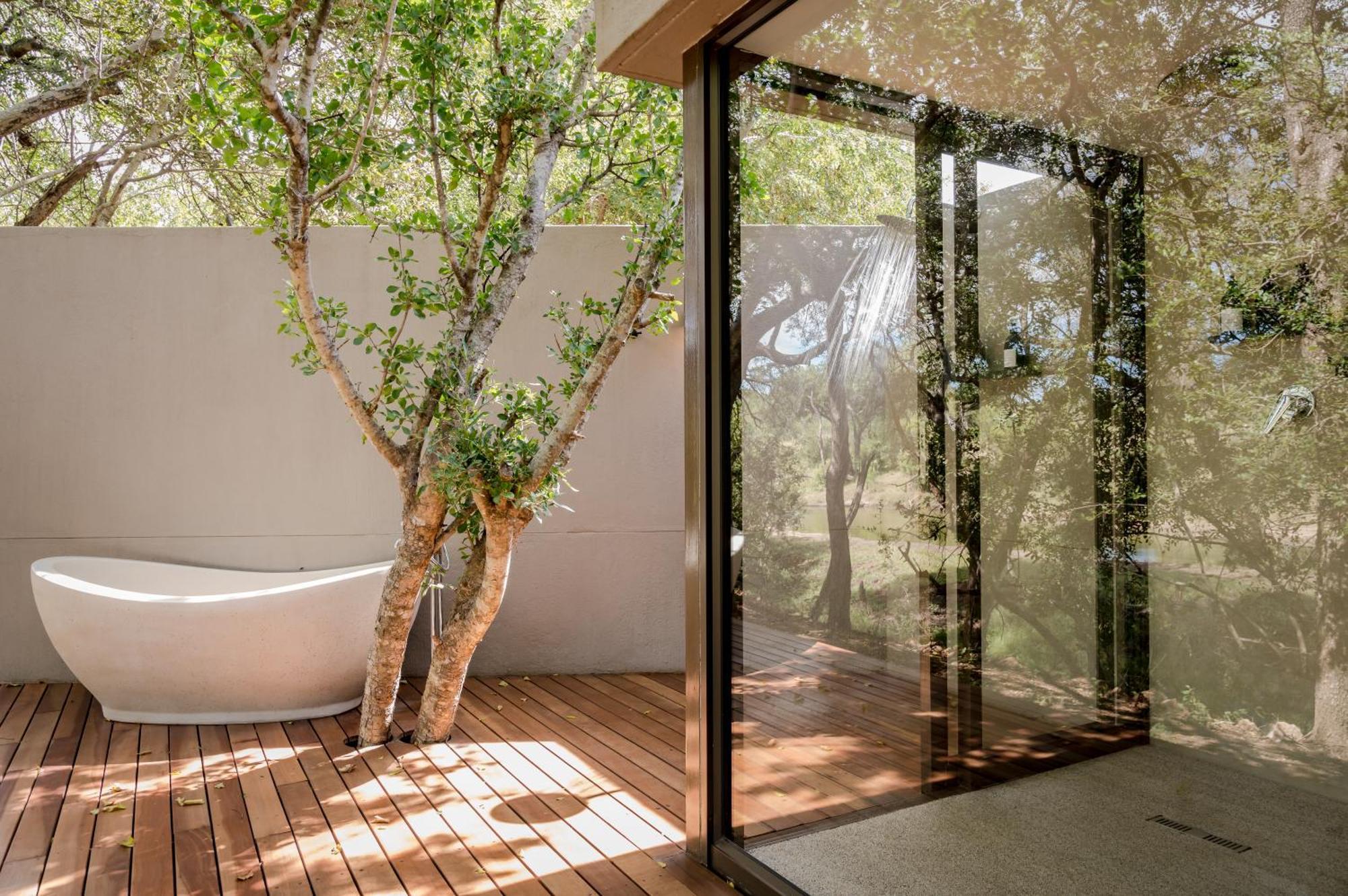 Serondella Safari Lodge Thornybush Game Reserve Bilik gambar