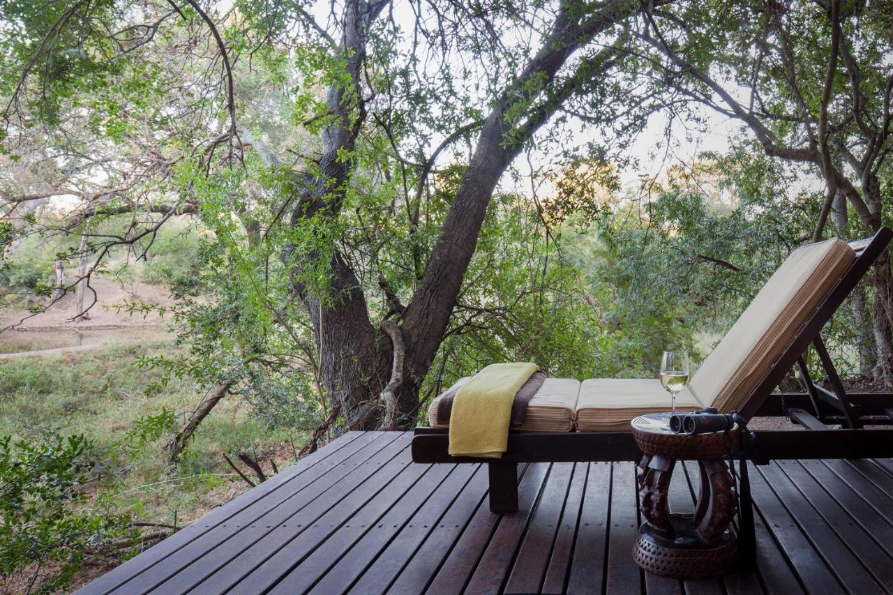 Serondella Safari Lodge Thornybush Game Reserve Luaran gambar