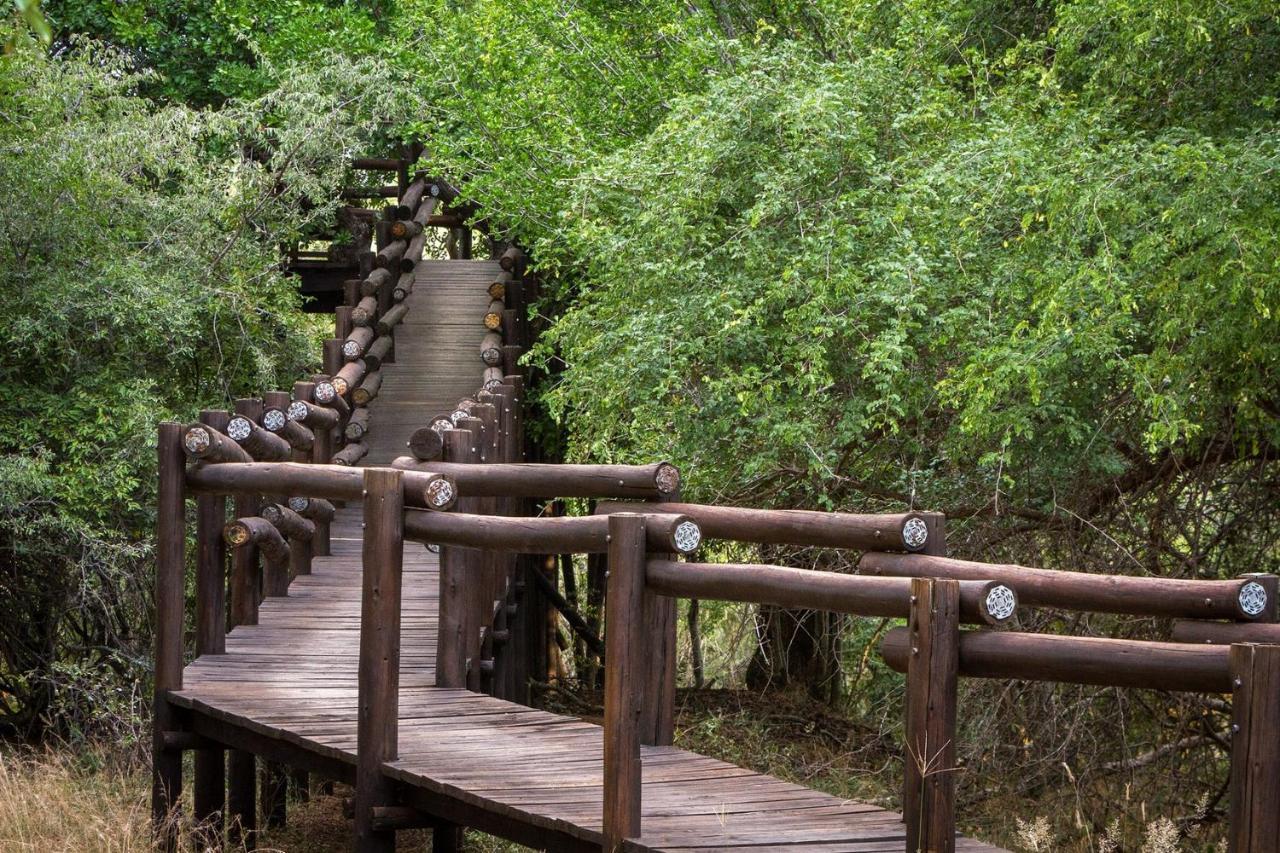 Serondella Safari Lodge Thornybush Game Reserve Luaran gambar